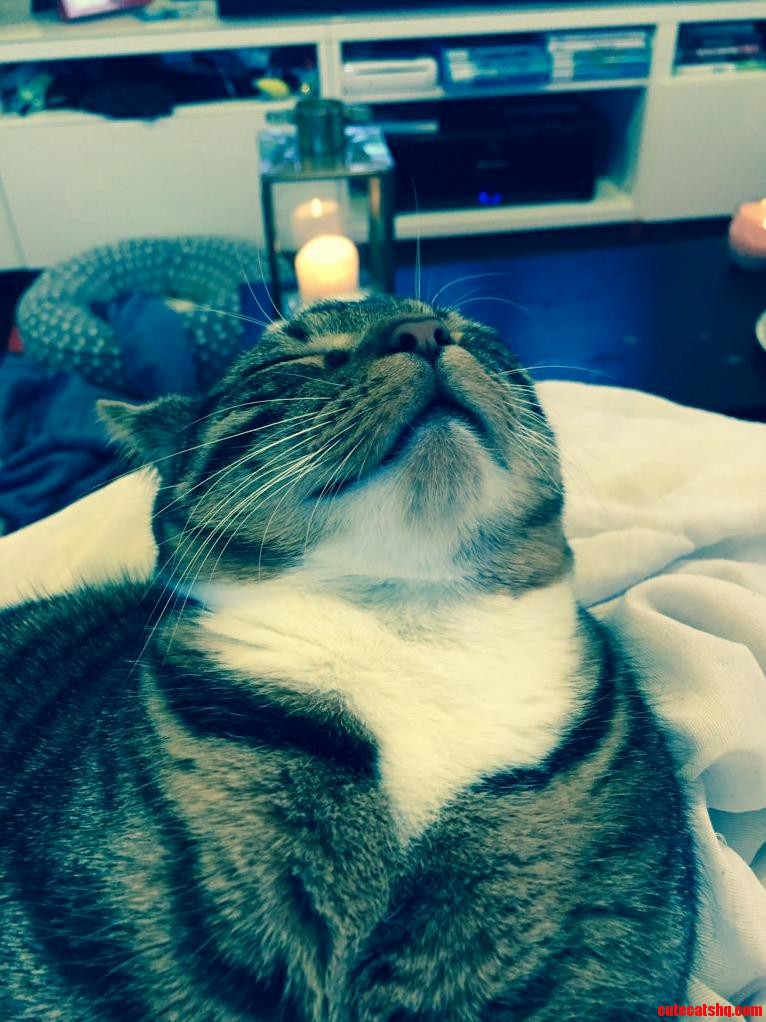 My Boy Really Loves His Sleep