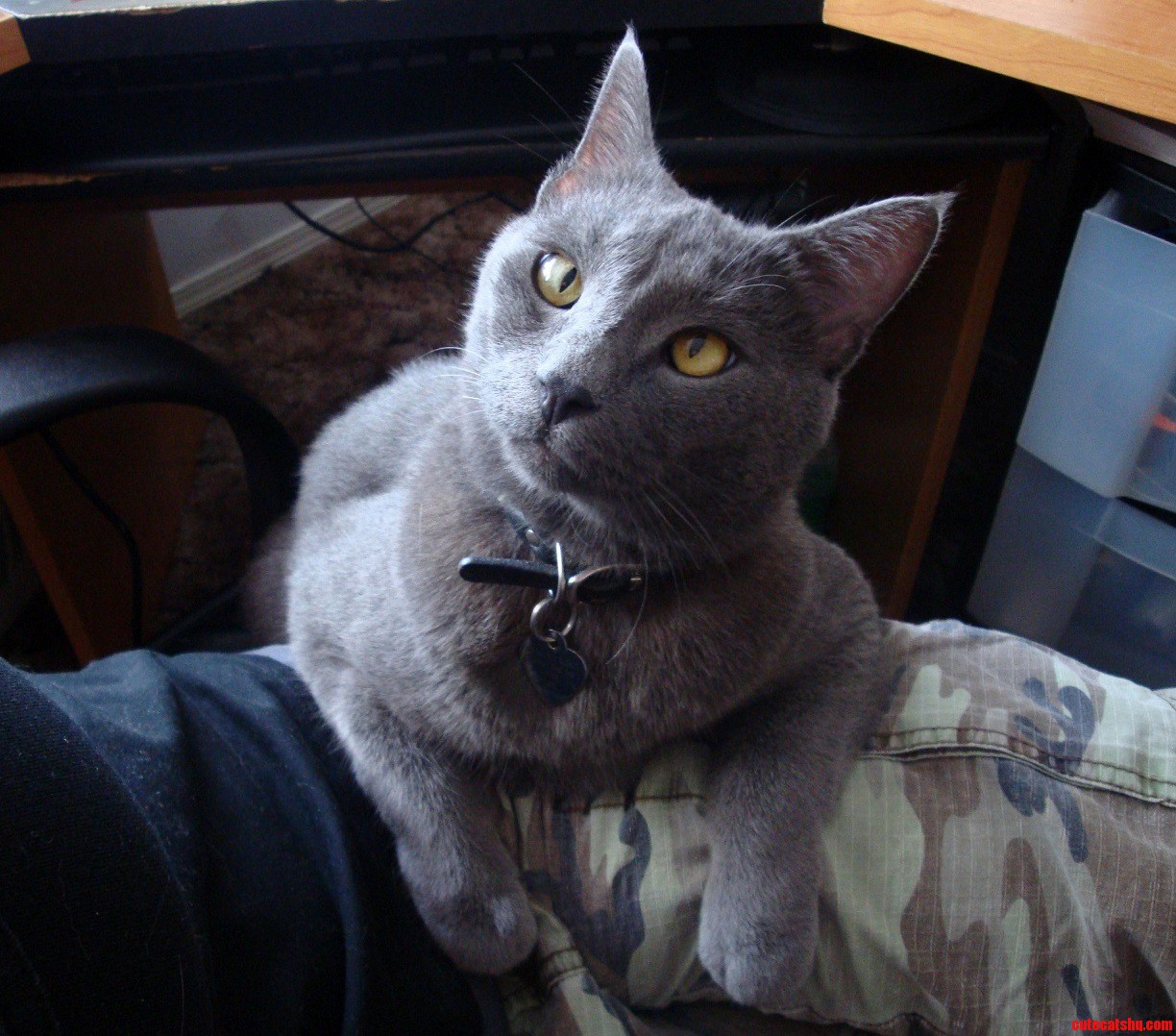 My Photogenic Potato... and I Say That Because His Name Is Spuds.