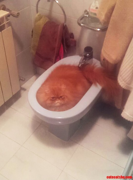 Perfect Fit