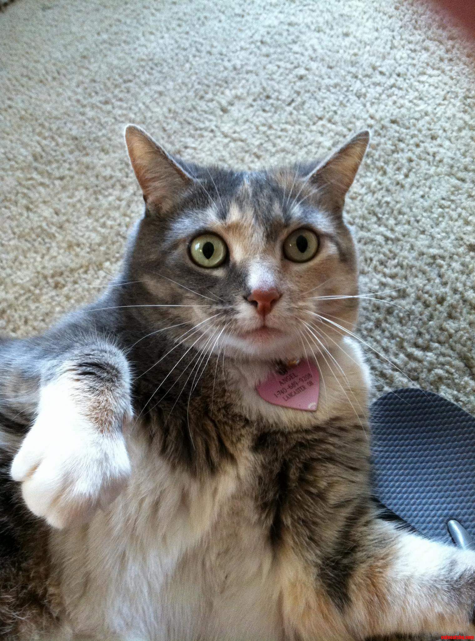She Just Froze Like This.