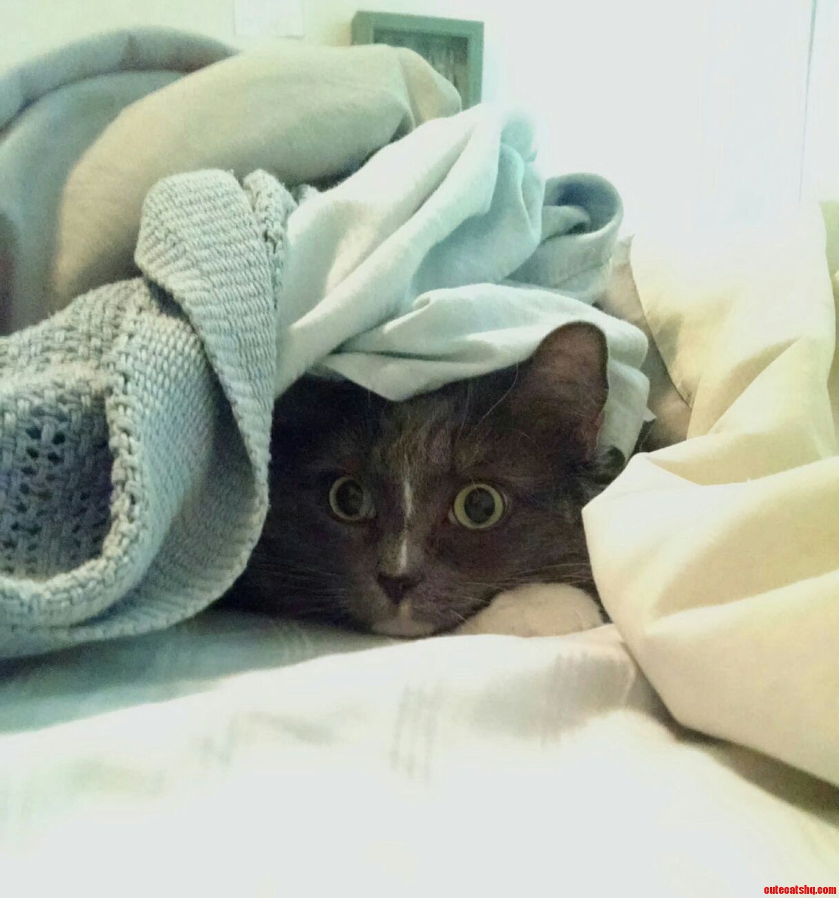 She Was Not Pleased That I Found Her Hiding Spot.
