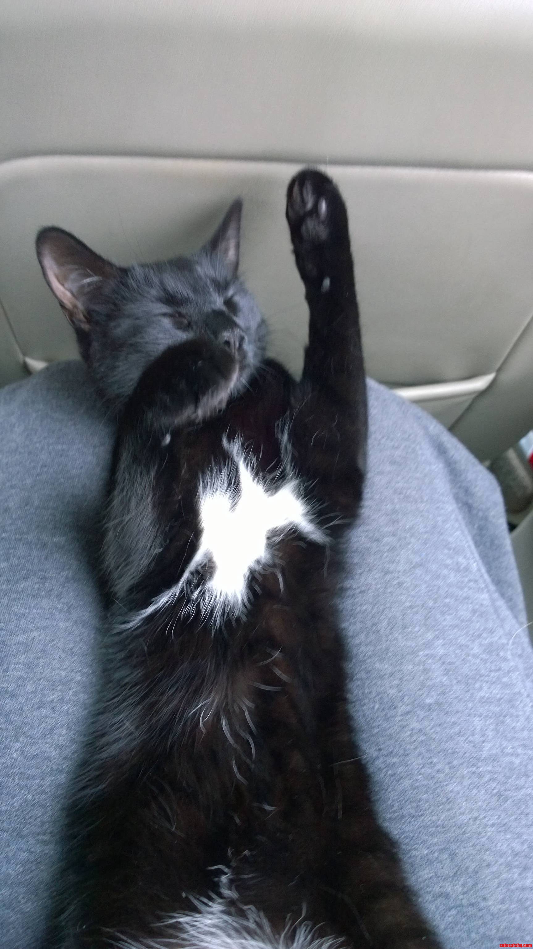 Sleepy Jo