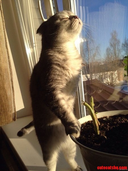 Smell of Spring