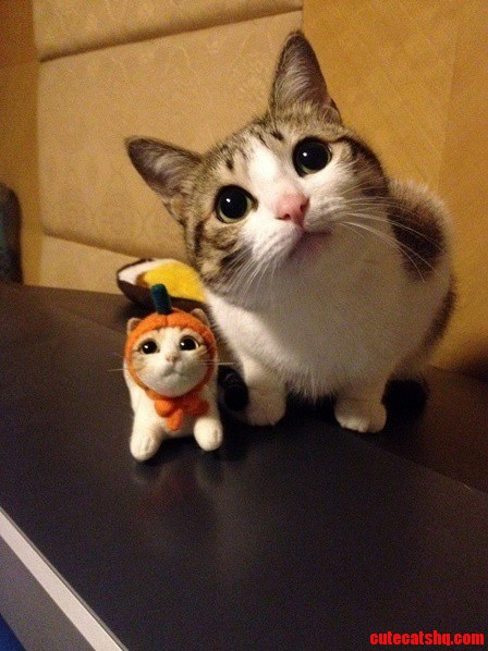 So Adorable