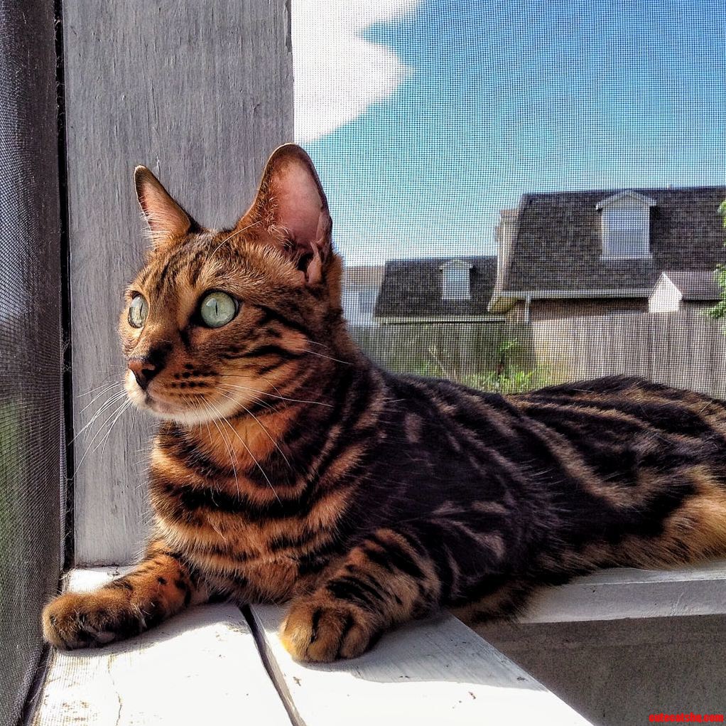 Taking Advantage of the First Sunny Day in a Week