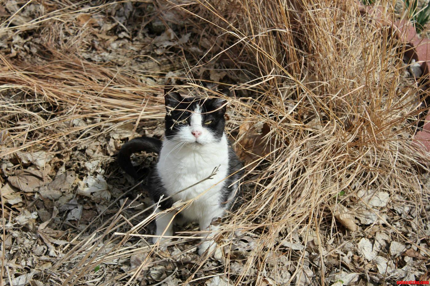 Tammy Lounging