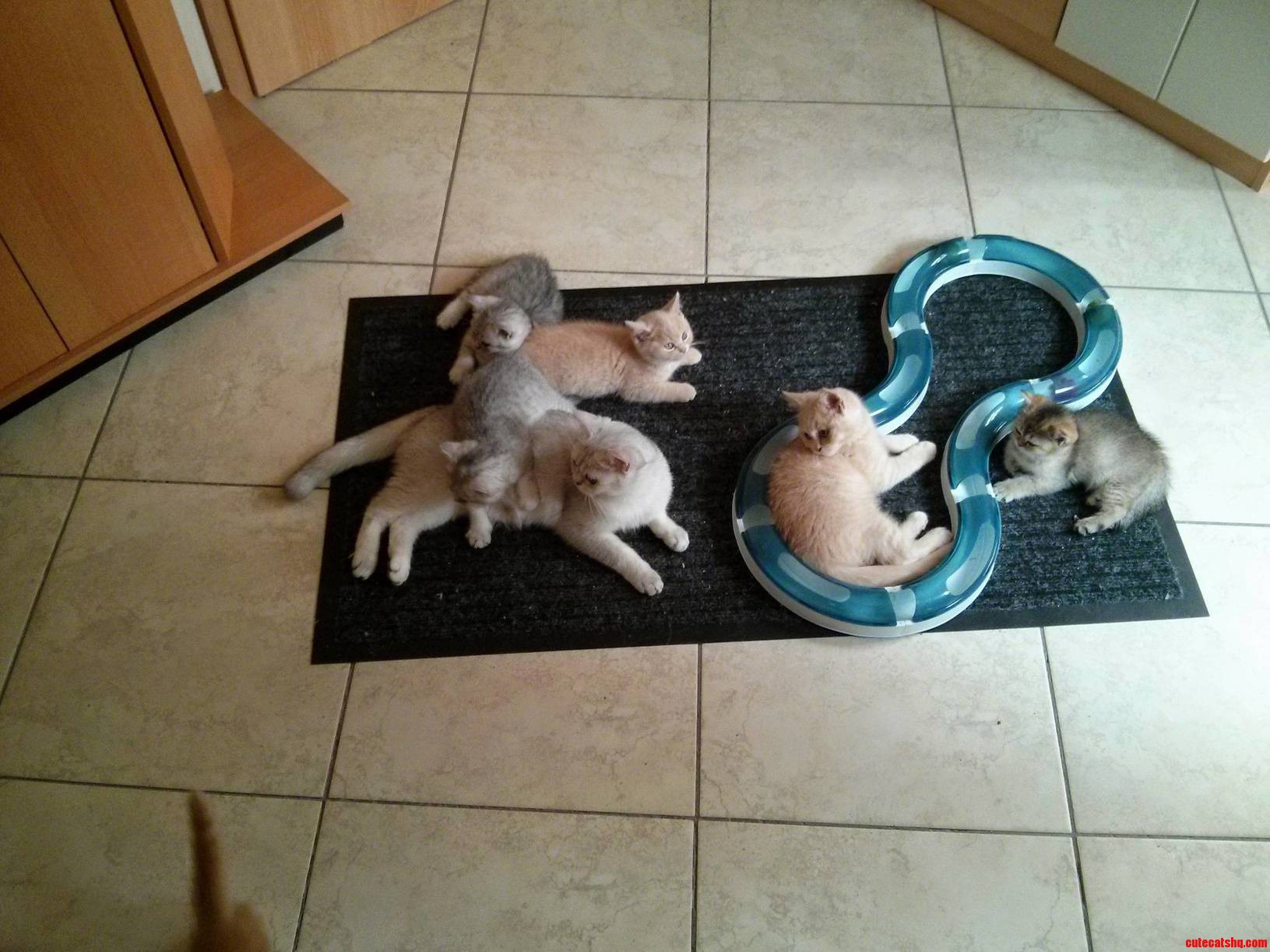 This Is What I Come Home to Every Day....