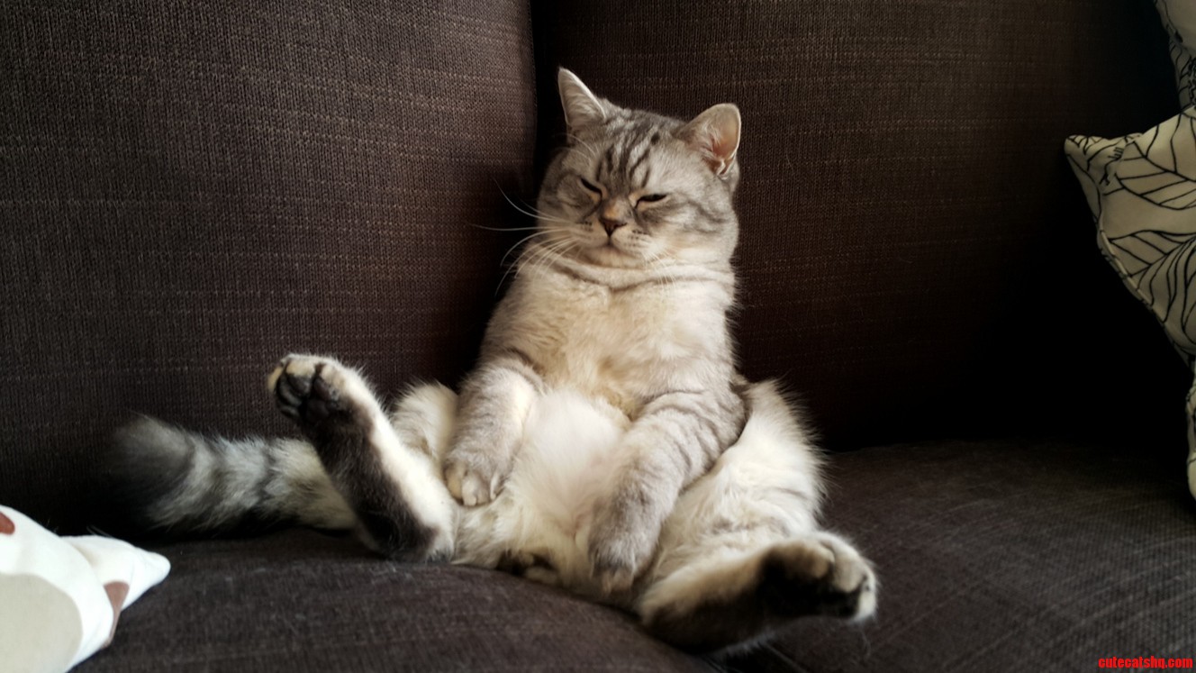 Today I Shall Do Nothing...