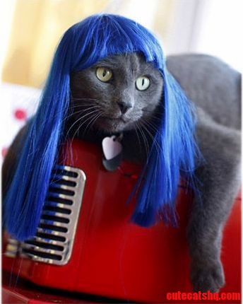 Totally Fabulous