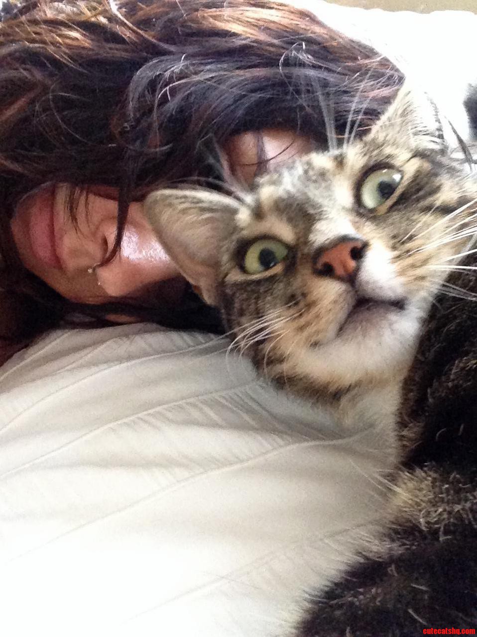Tried to Take a Cute Selfie with My Cat. Instead...
