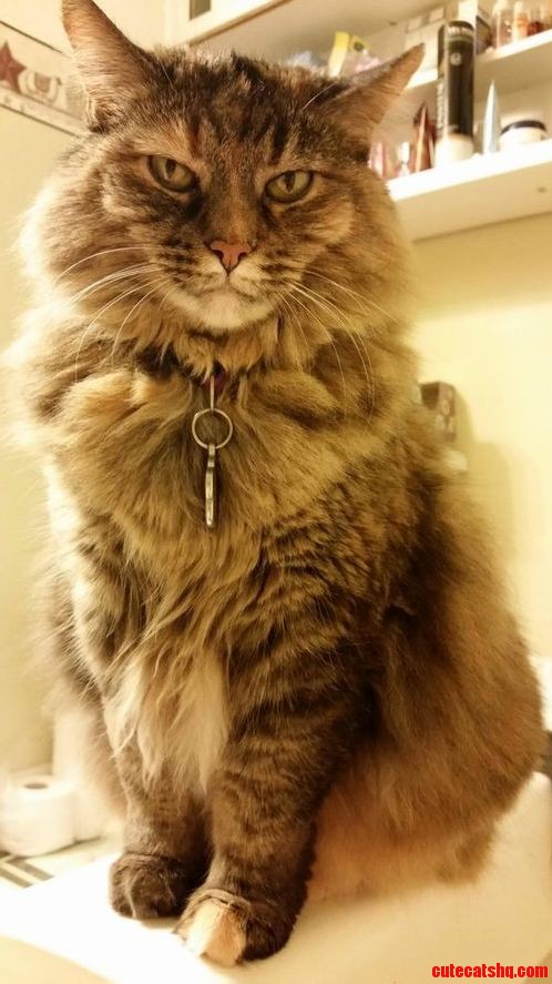 Very Intense Gaze