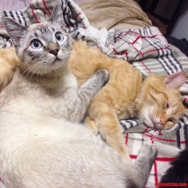 Zero Taking Care of His Brother After the Big Snip