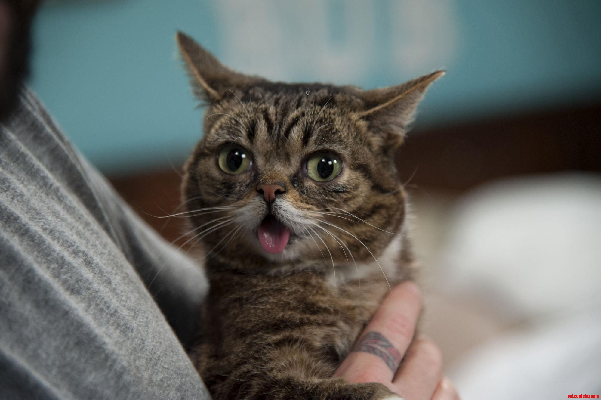 Awwwwww....