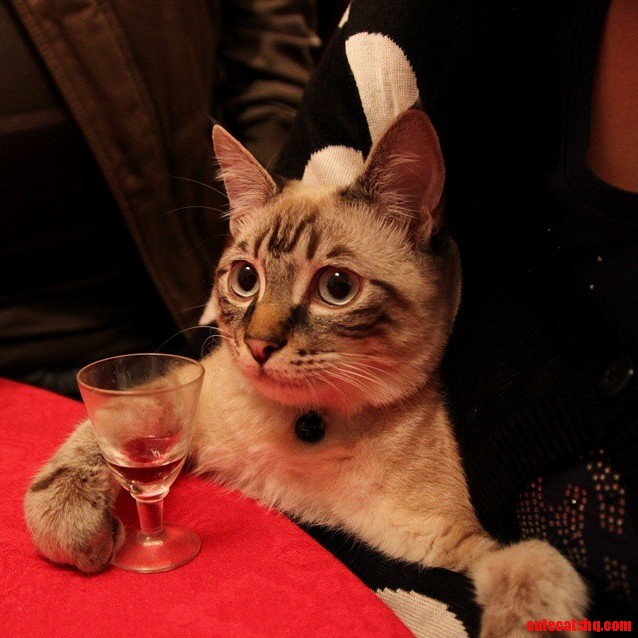 Bartender Another Round for All My Friends Here