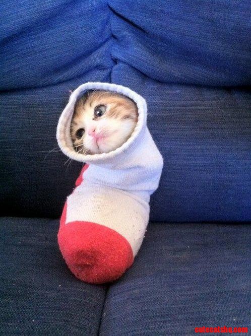 Christmas Stocking
