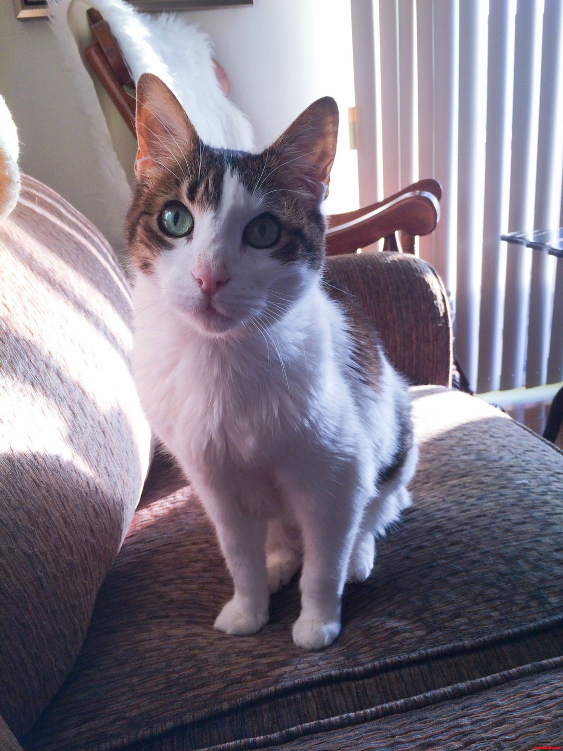 Coming Up on His Sixteenth Birthday Doesnt Look a Day Over Ten