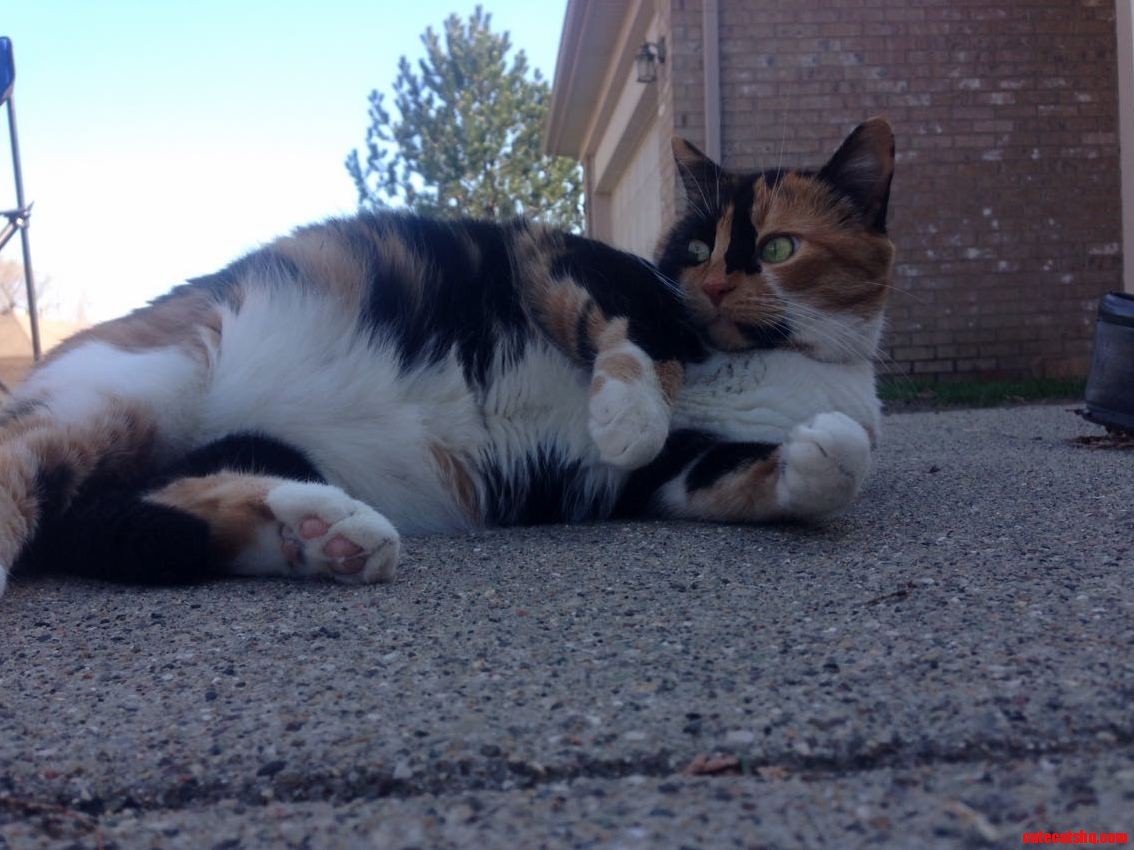Enjoying the Lovely Weather
