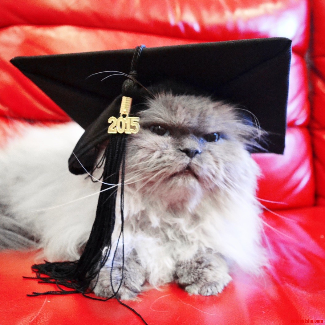 Graduation Day