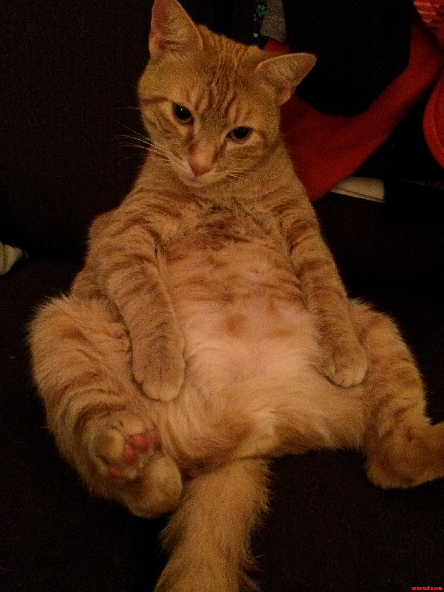 Hai Gurl U Like Wat U See
