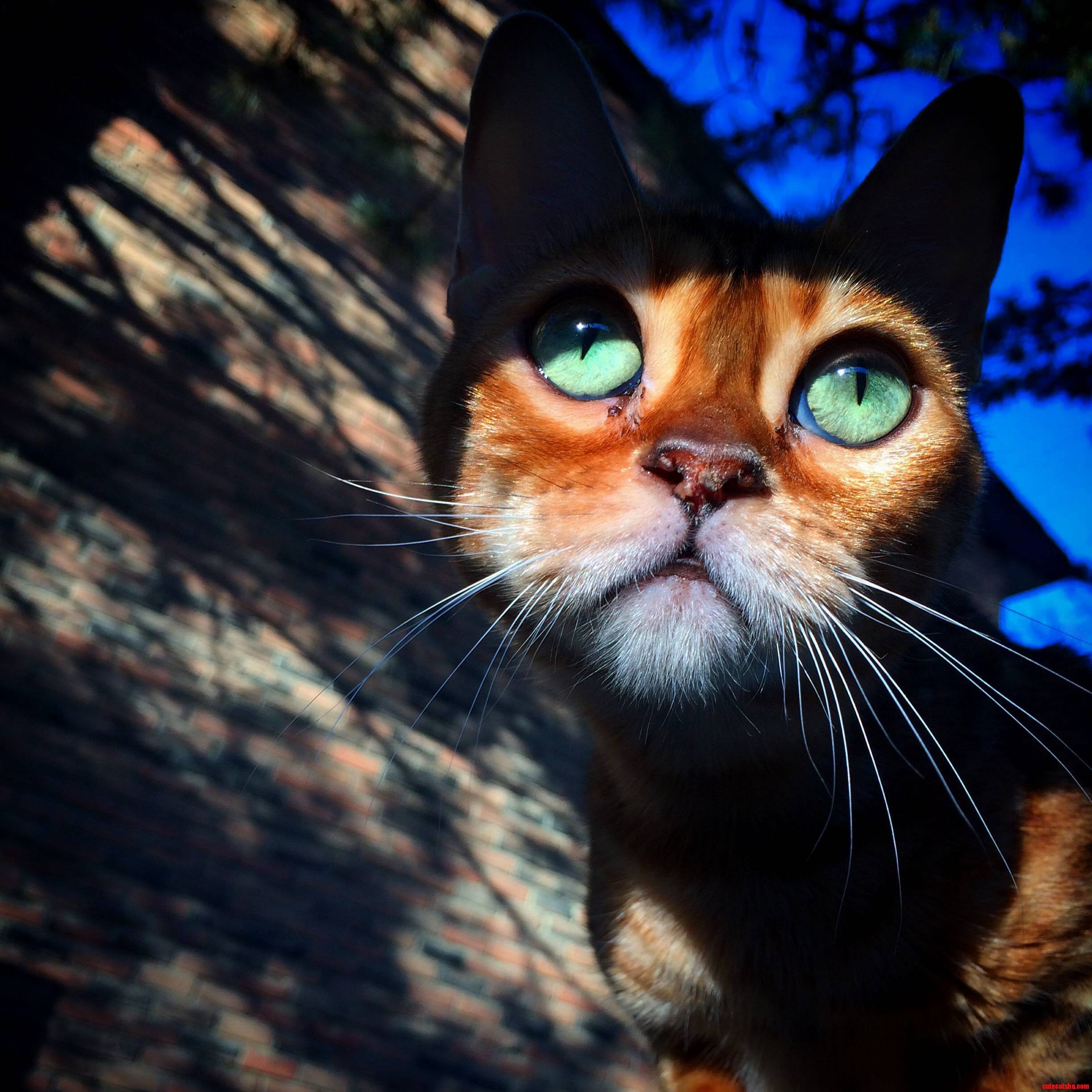 Her Eyes