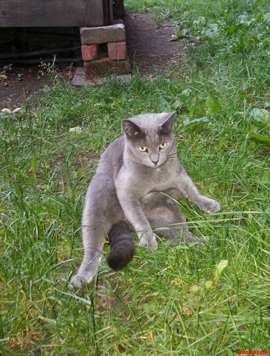 I Love How He Sits Like a Person.