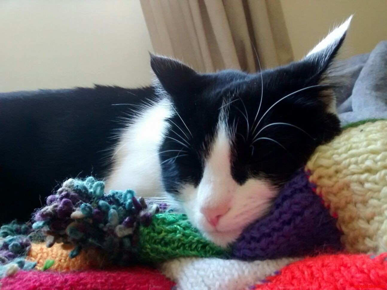 I Made the Little One a Blanket but She Seems to Think Its a Pillow...