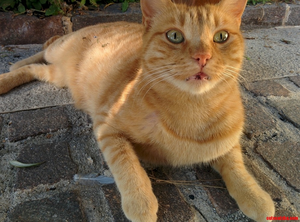 I Sat Down on a Bench and Then Noticed This Guy Under It