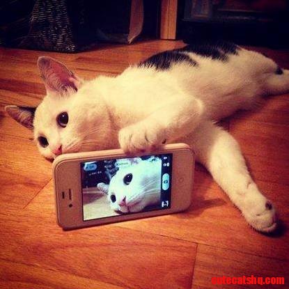 Its Selfie Time