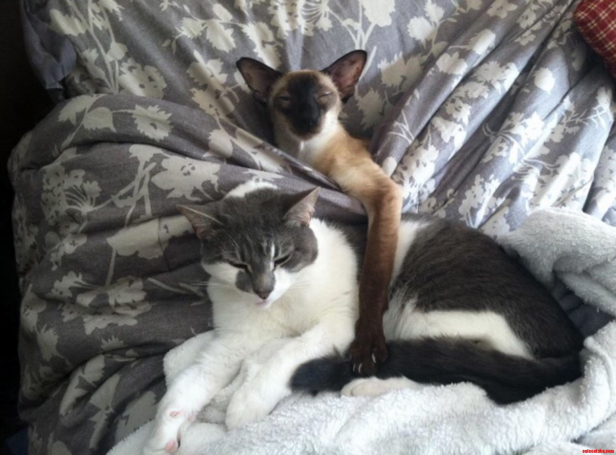 Just Chilling