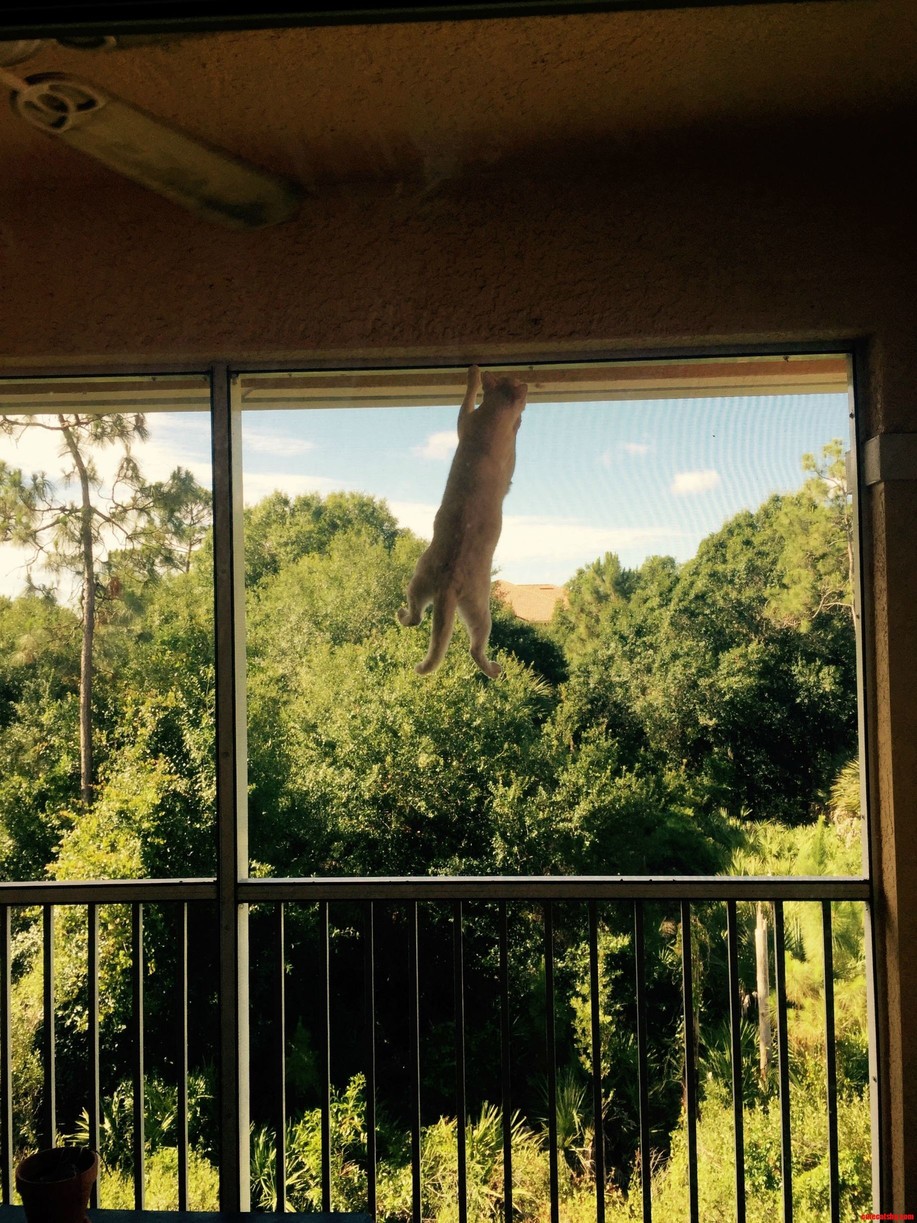 Just Hanging Out...
