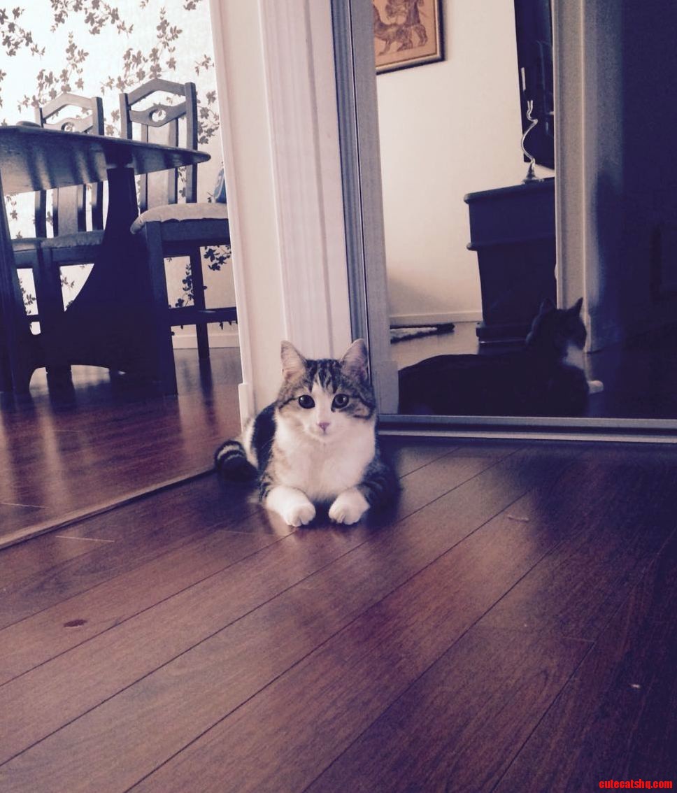 Just Nala Being the Sphinx.