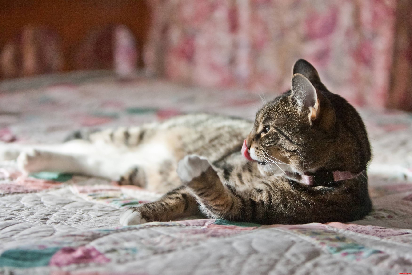Licking Her Nose