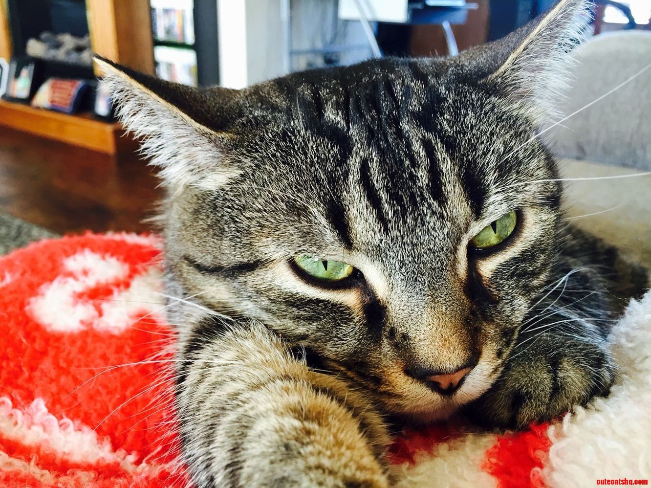Look at Those Eyes...