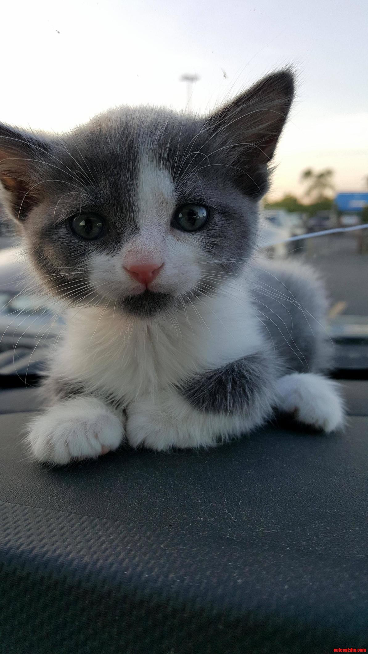 Meet with Tyrion