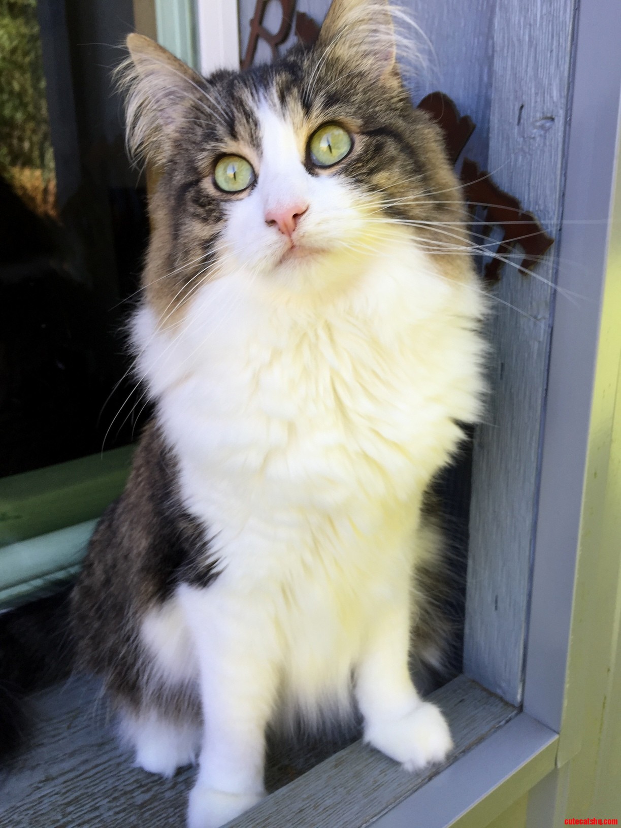 My Beautiful Delilah