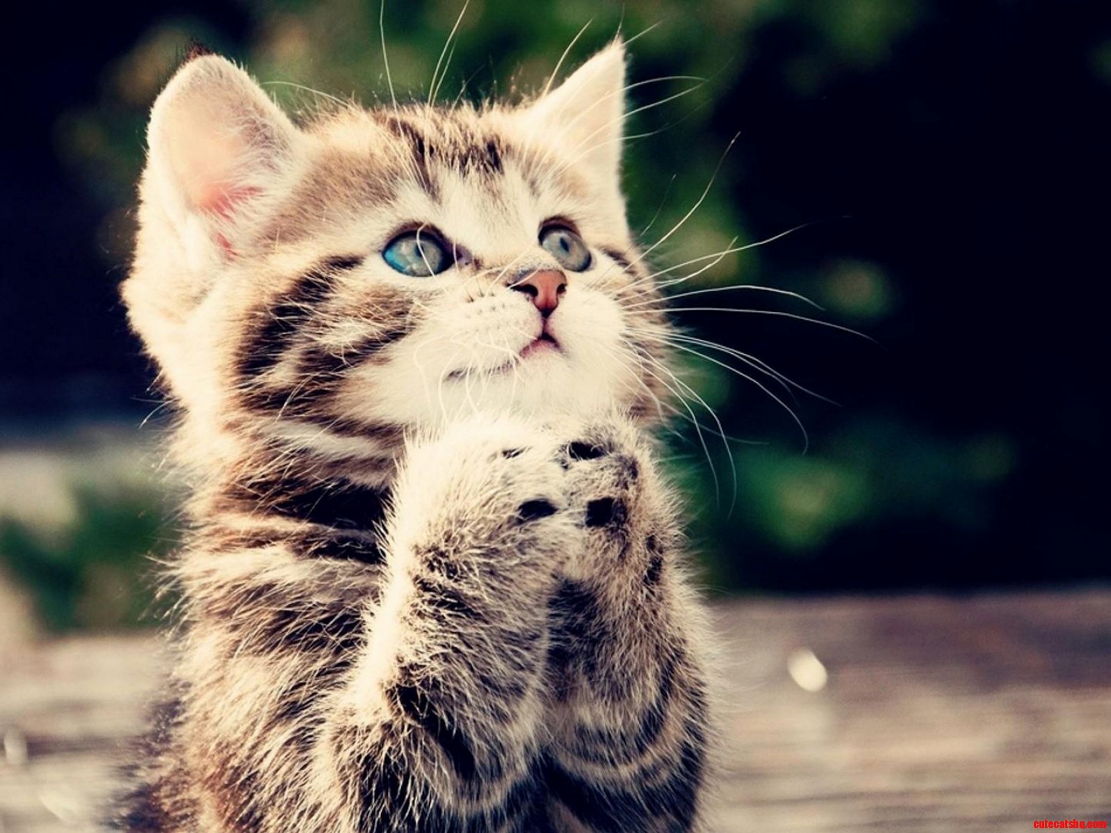 O God Listen to My Prayers