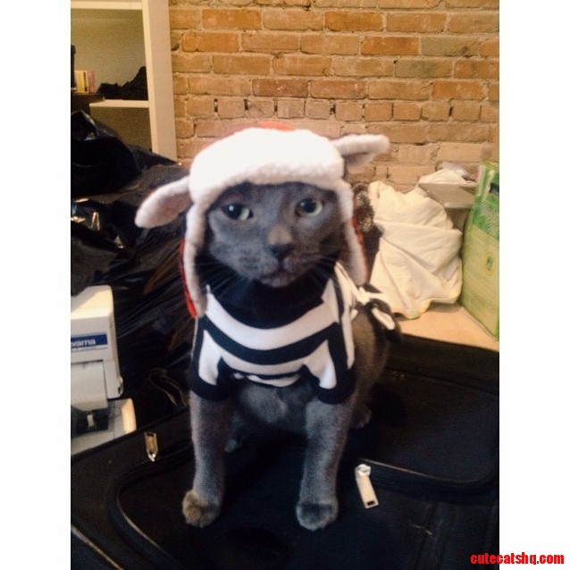 Playing Dress Up