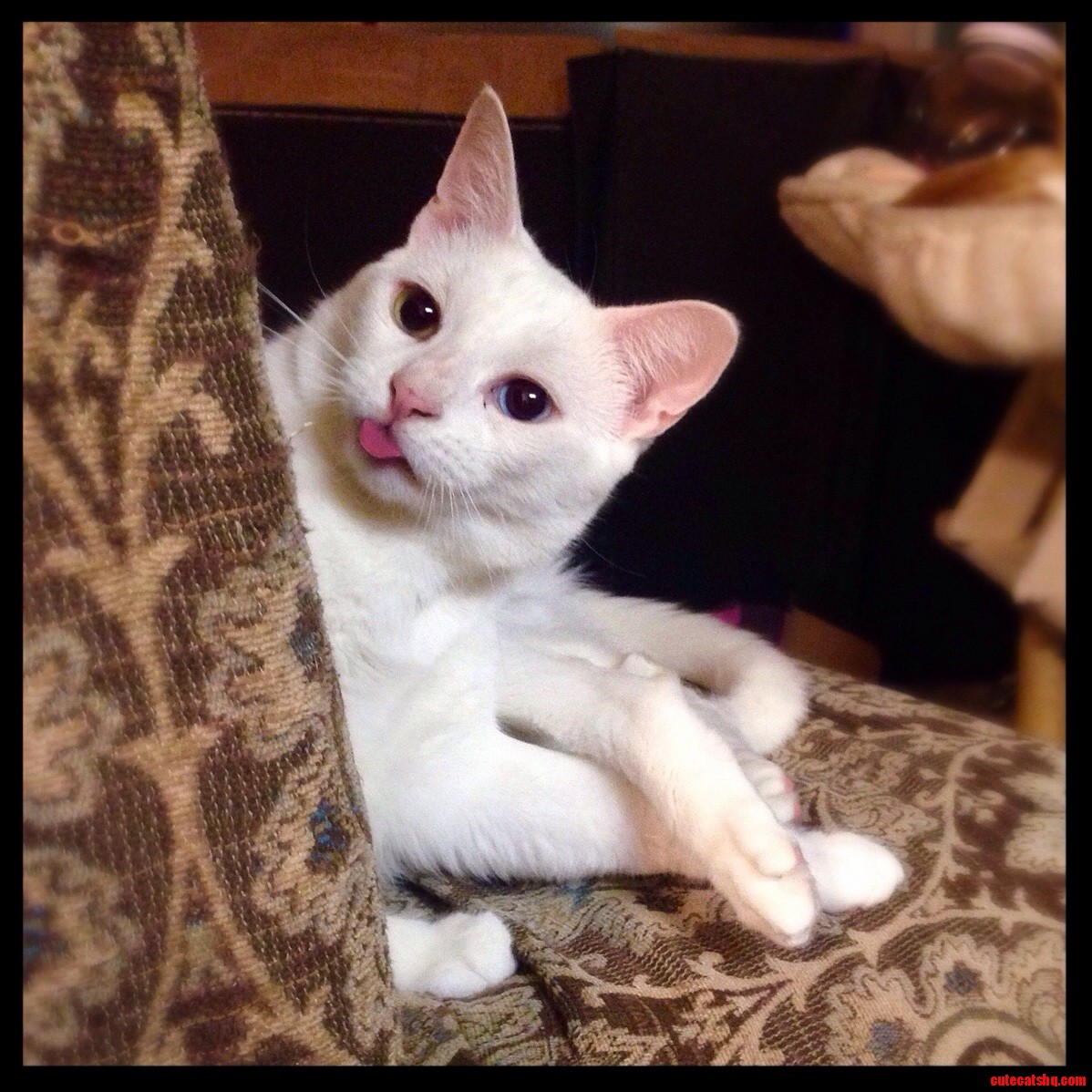 Playing Hide-and-seek.