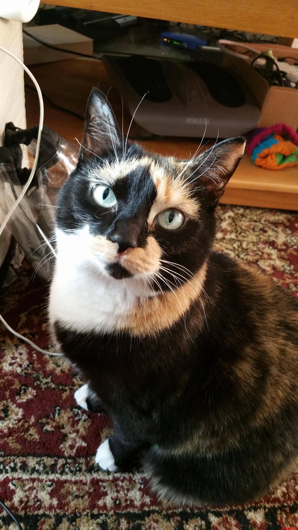 She Was Begging for My Pringle...