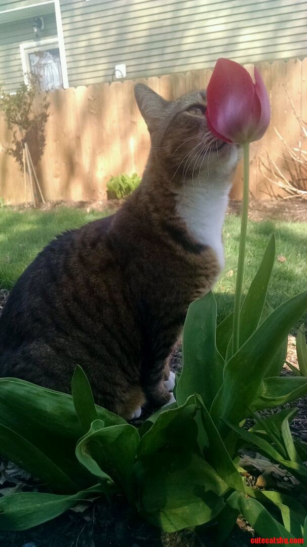 Smells Good