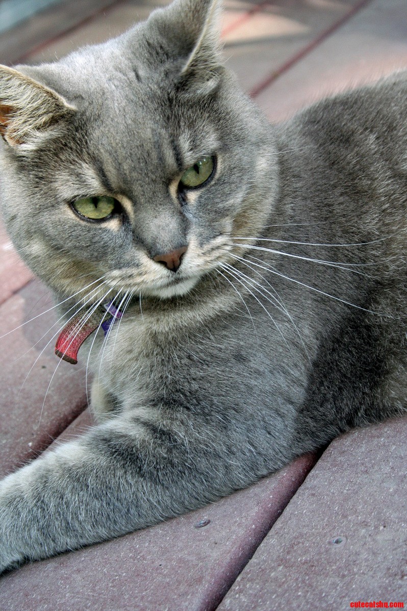So You Wanna Say This Is Not Belongs to Me.