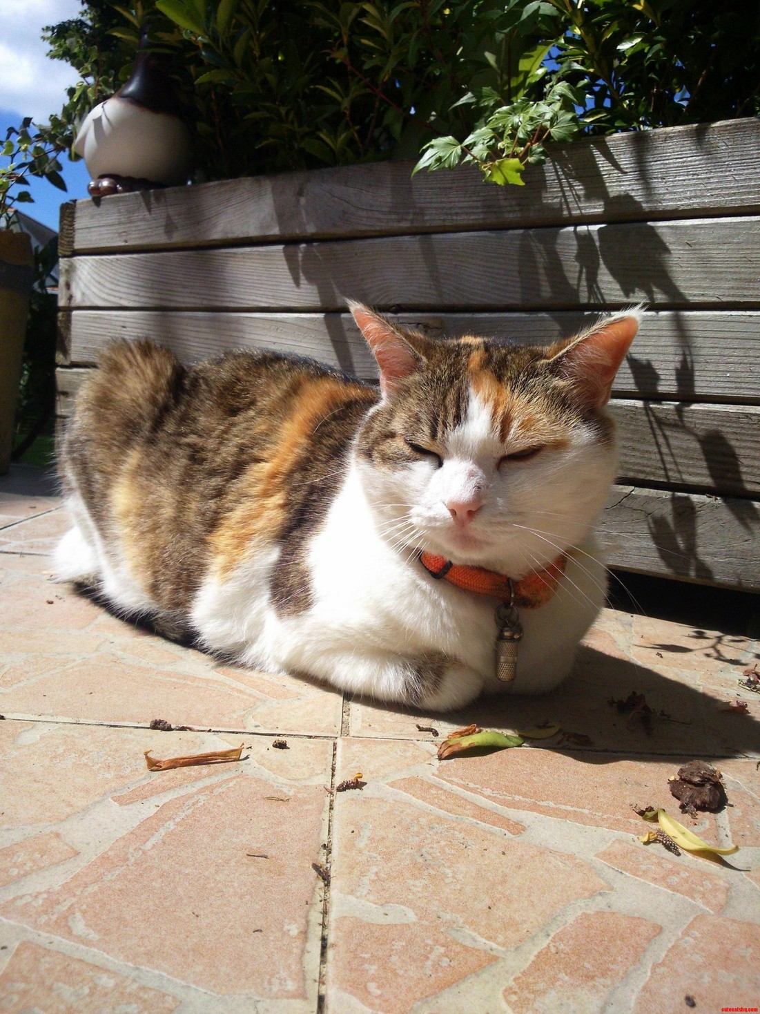Sun Bathing