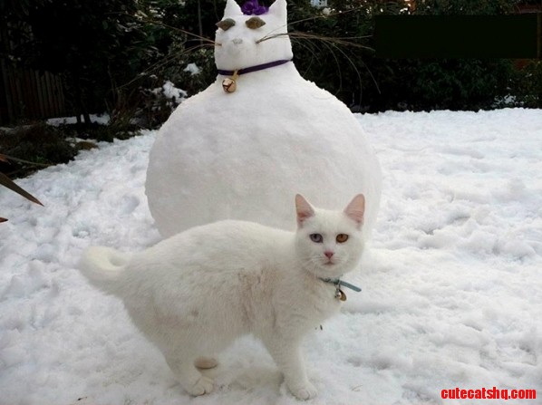 Thats When Snowball Realized.