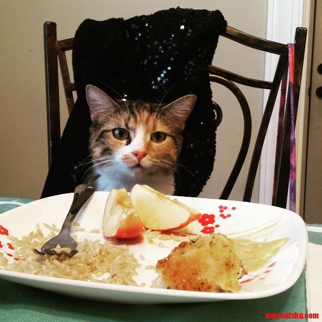 These Human Foods Are Most Displeasing.