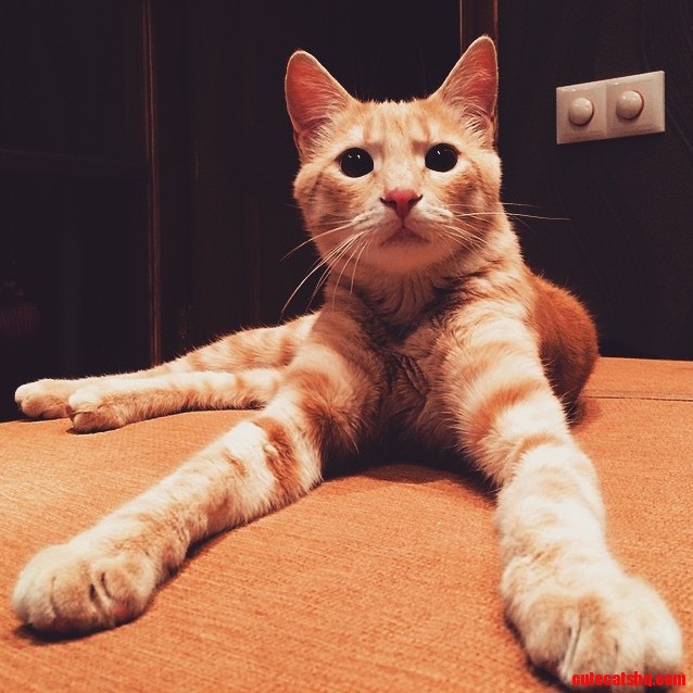 They Call Me Legs..