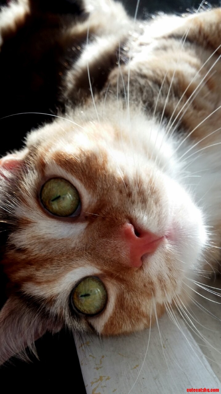 Those Eyes