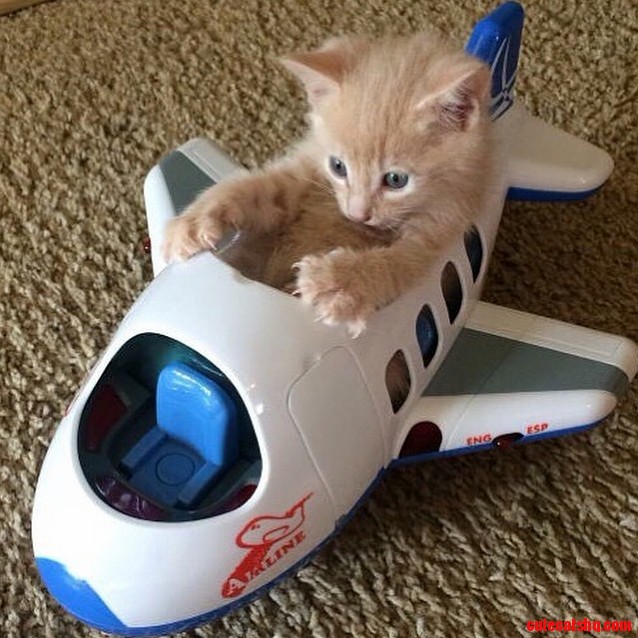 Tower Requesting Permission to Take Off.