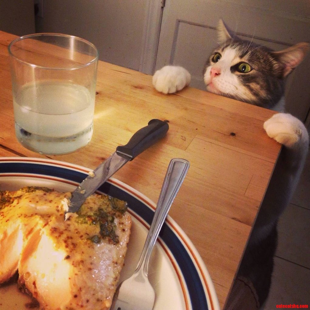 What Are We Having