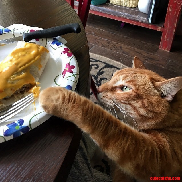 Yes I Will Have This for Dinner...