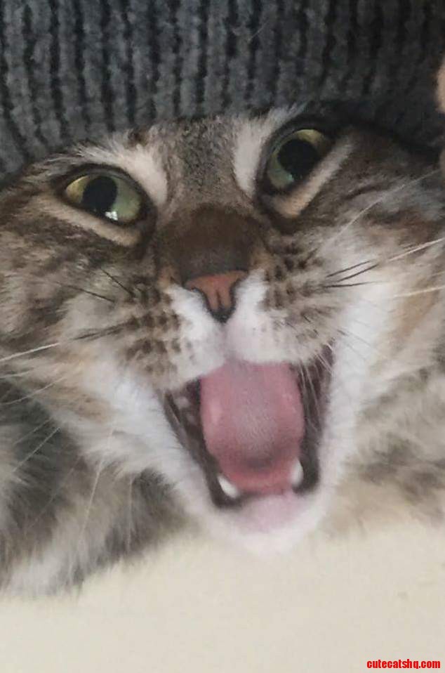 Aaaaaaaaaaah